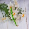 Pulsera Green - Imagen 2