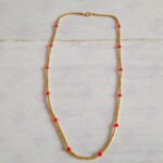 Collar Checo Delica 3 - Imagen 2